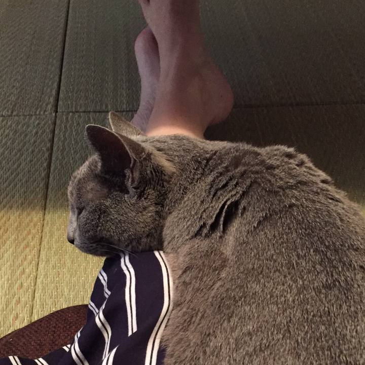 6583b5d3 2a77 49c7 b50c cec9e6f43972 1562108702252