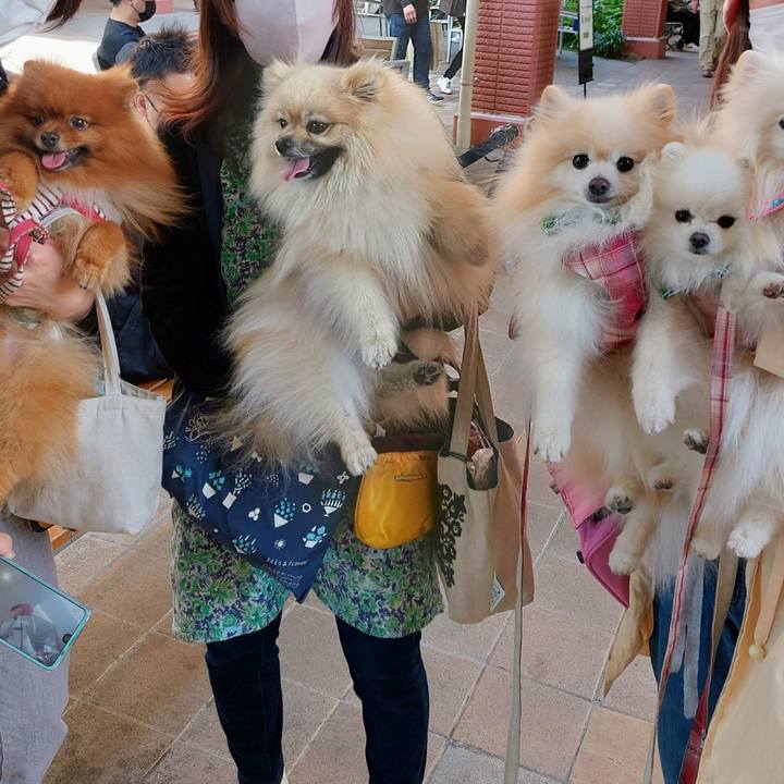 6583d0ac e382 4f94 9318 9cc29bc54ece 1682246105856