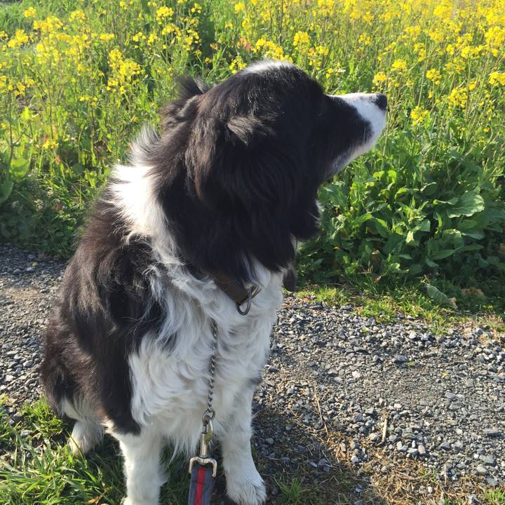 6583fcac 64b9 4c67 9a07 18bba060ea69 1550620510013