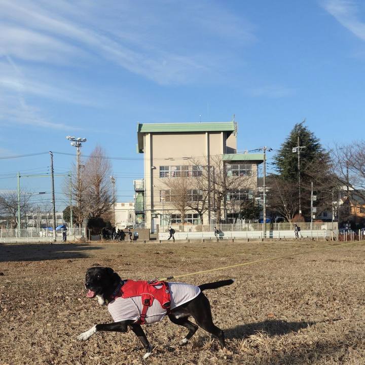 6584215b e164 43ca b37f 5c3a8053e2d5 1673489951696