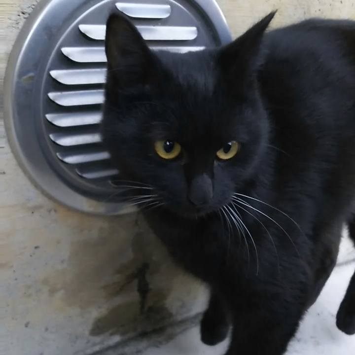 65842a4c 0d8c 45bf 8091 53c8747a72f4 1543010324618