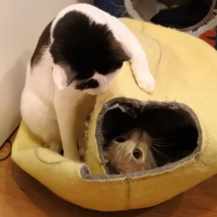 65845c5a bc33 4341 9c7a 983c2c72eb6a 1560417441905