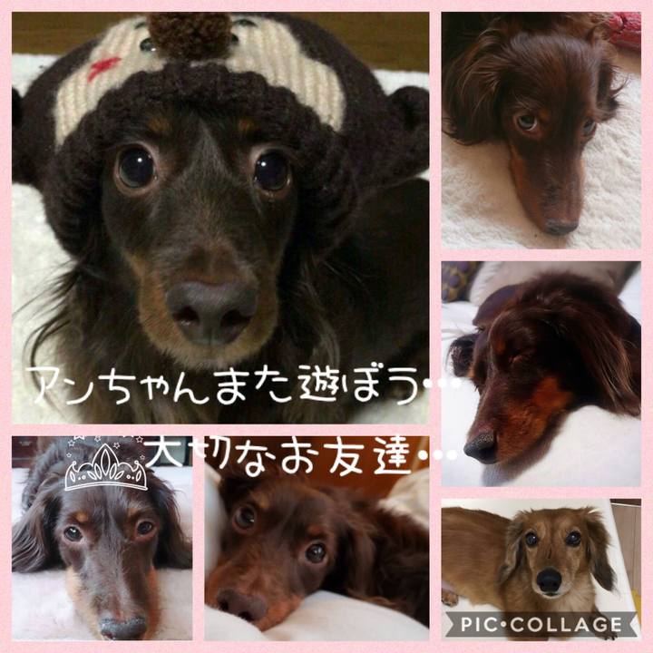 65848eff d6ff 4340 861a 88512325cbf7 1530339856519