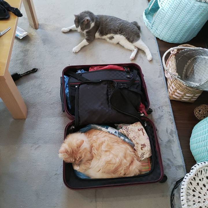 6584ebc7 39ce 41e4 8de9 d13c71c57f5e 1690495860541