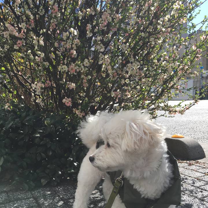 6584ed1c 3cd9 4b52 bd85 0297a501594e 1584341071236