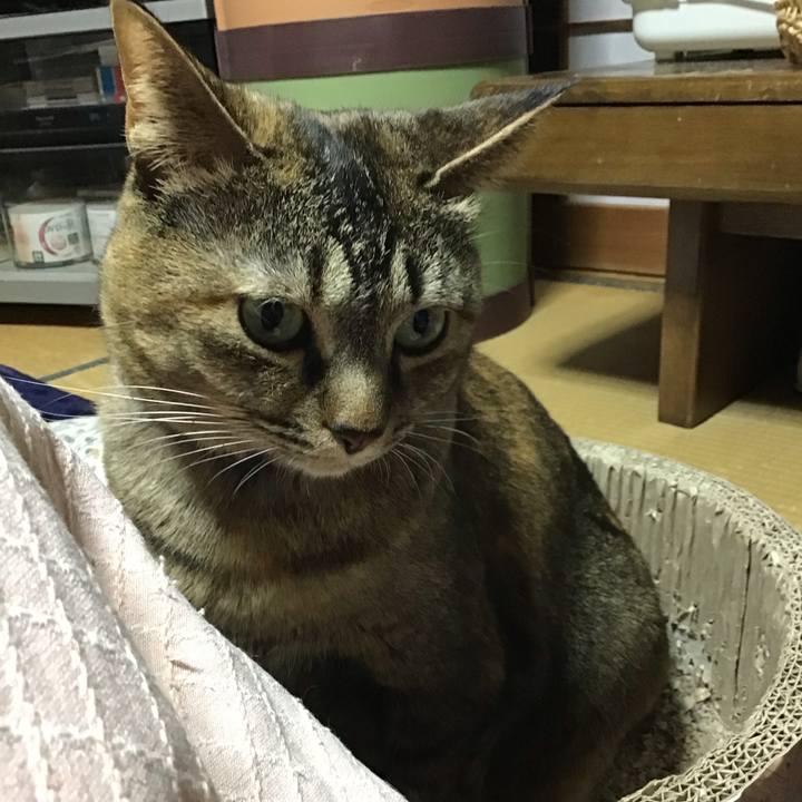 6584ee1a e306 4e9a 8f10 45025d5d51bc 1706007298005