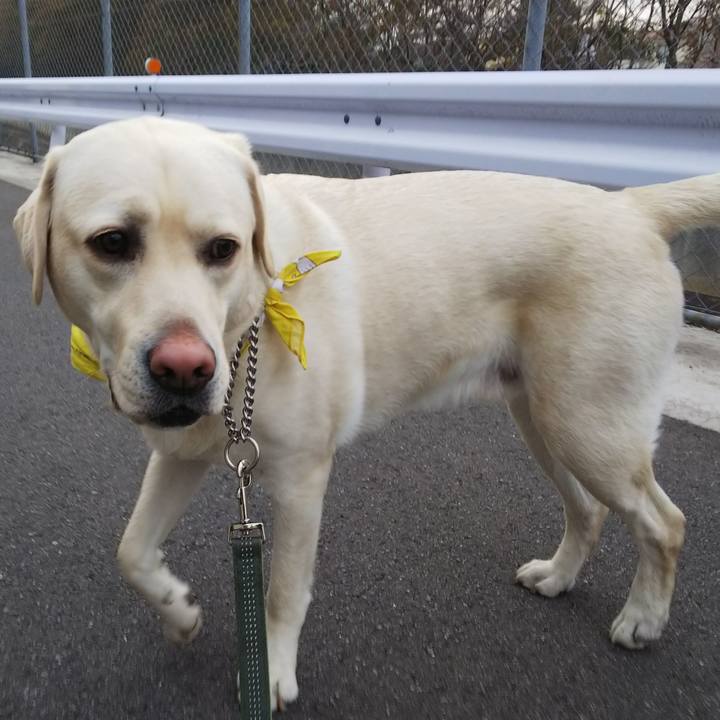 65853fb0 cdf8 478b a4da eb6ea9e1220c 1518252850588