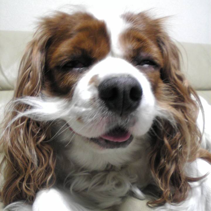 6585659e 3ada 4f94 af48 4499c25504c0 1513421745603