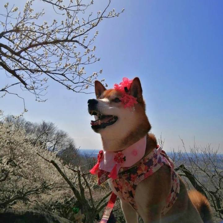 6585a811 eeb9 45f5 9129 06a9be2d99d7 1677846151115