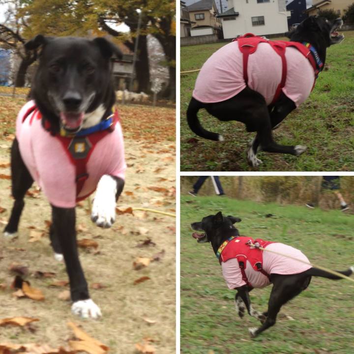 6585b595 1a6f 4852 afdf 76d39e8bc8f4 1670029774082