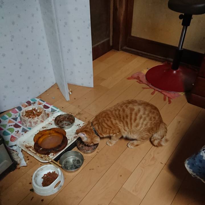 6585cbca 122e 48c5 b69b 98b65c7f2546 1645007458486