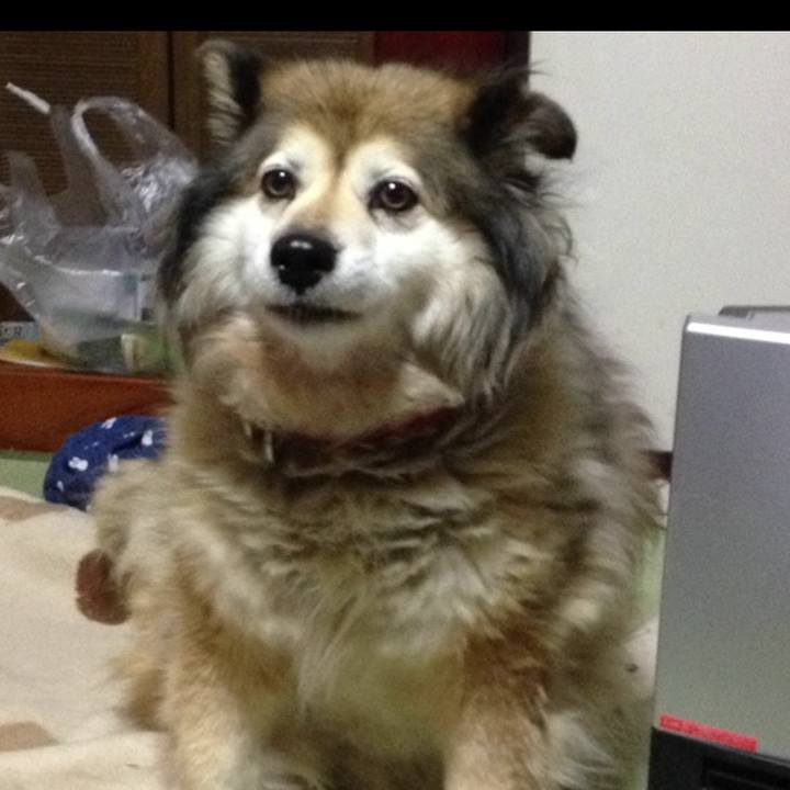 6585f279 0d5d 4afc 8c6b 6cc41bde631d 1608592576222