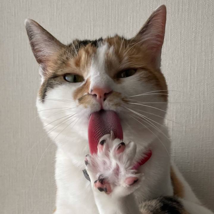 658648f3 a0ab 43d7 a950 51d744ea4c3d 1616039010316