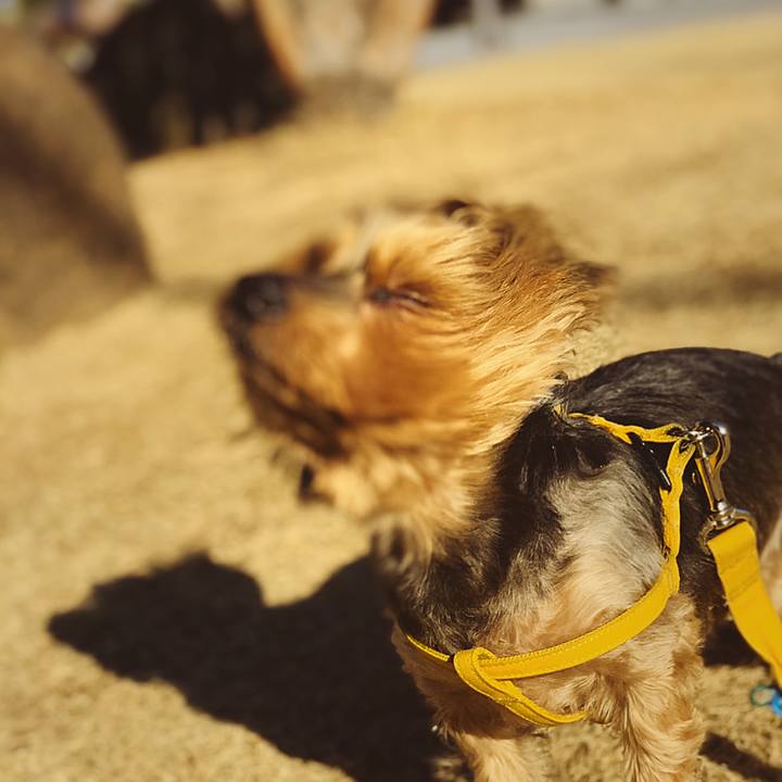 658659f2 b23a 40fc 860a d637fffbe939 1614496025790