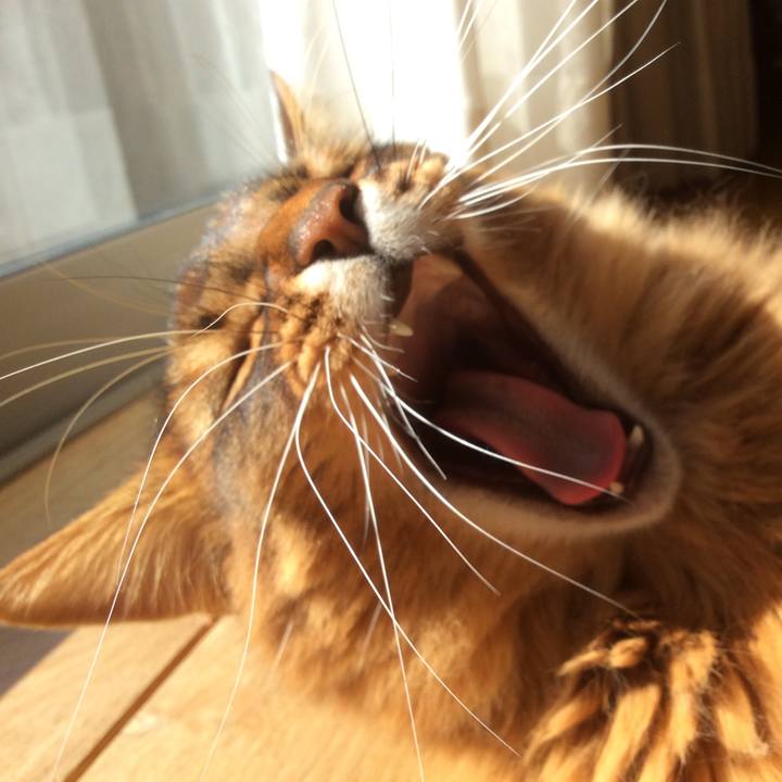 6586644a 4e61 40e9 94fb 83da8224625c 1610158883020