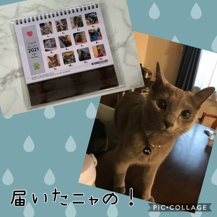 658696a5 be20 47a0 9213 f29b30f4b893 1605760791397