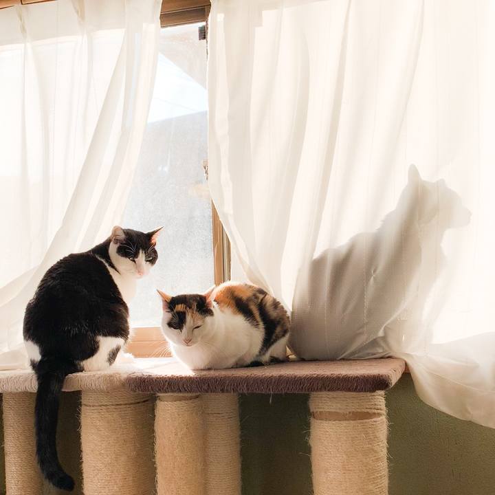 6587159c a853 4977 b0ce a2d5dc6eabde 1575249985110