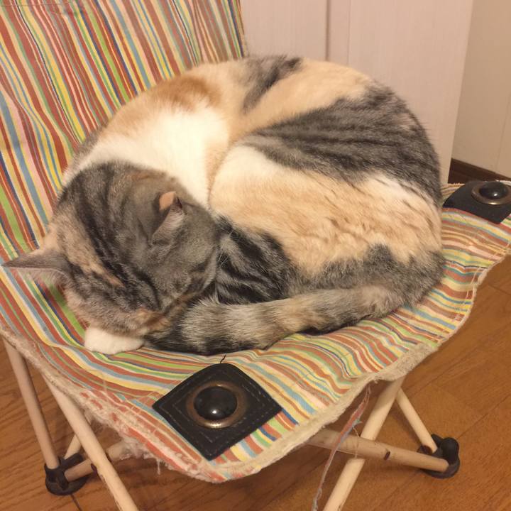 65871816 4865 4a90 a1f2 d150da980091 1557069009871