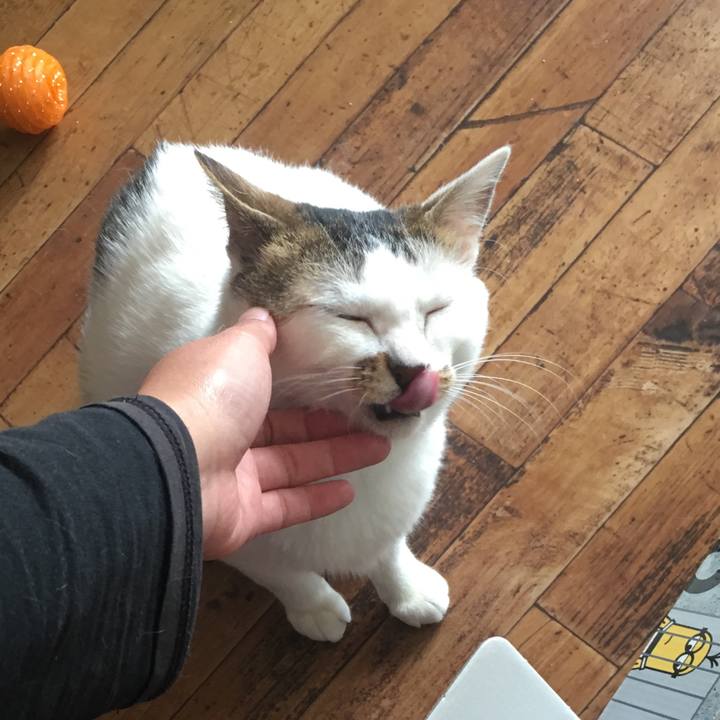 65871f67 3046 476d 87f3 9c4617050dc6 1525834079627