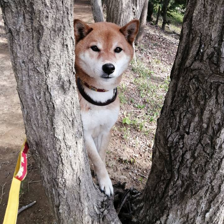 6587499c 2b1a 44c1 ab29 0246a7bd9c89 1587117471584