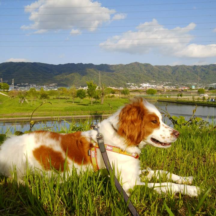 65878a9f 9b3c 4aa9 bf15 aba81e511565 1524052374046