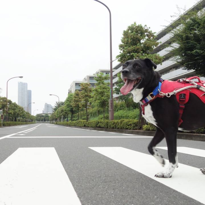 658791ba 80a7 4dff 9fec 8b44e345130b 1661039025288