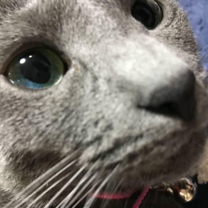 6587b007 599a 48fd ae29 6f3a4a9ebfc1 1525472686321