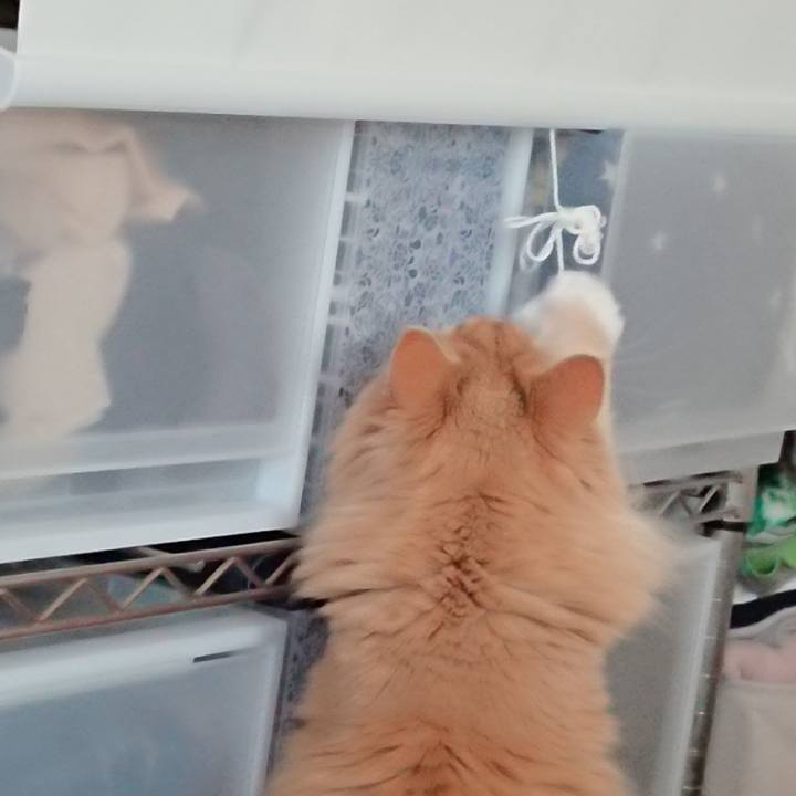 6587bf8a eeb7 421e b8ac 599fdbfa0627 1524711042288