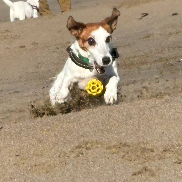 6587cdd9 fa52 4093 a94d 61c7c056fd59 1764992982091