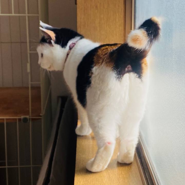 65880485 9af1 404f 910c 442a695653ad 1670970008564