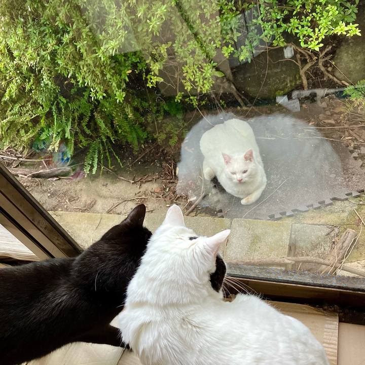 65880e7c 122e 434d b41b 20779ba4c0bd 1761548098158