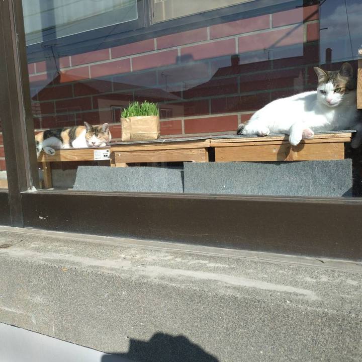 6588149c 4582 4e75 af6e 2346e87d4314 1748072834753