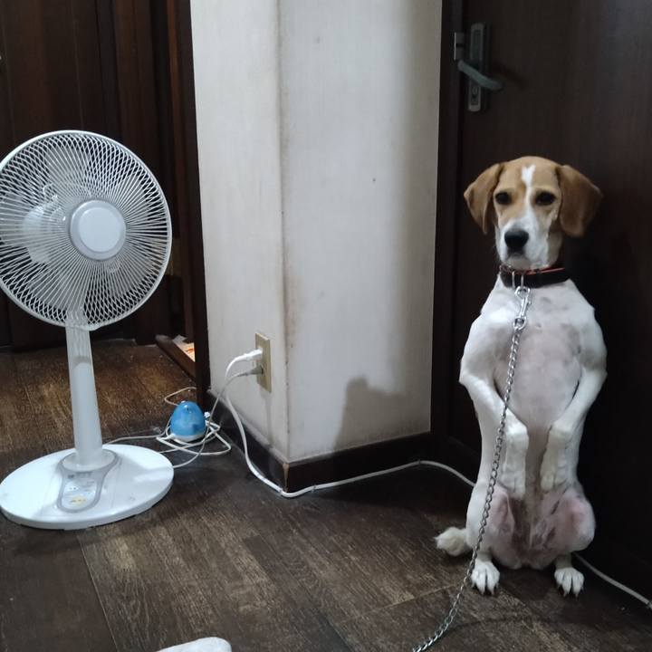 65882670 6109 47be 949a b2c6e481dae8 1627536047245