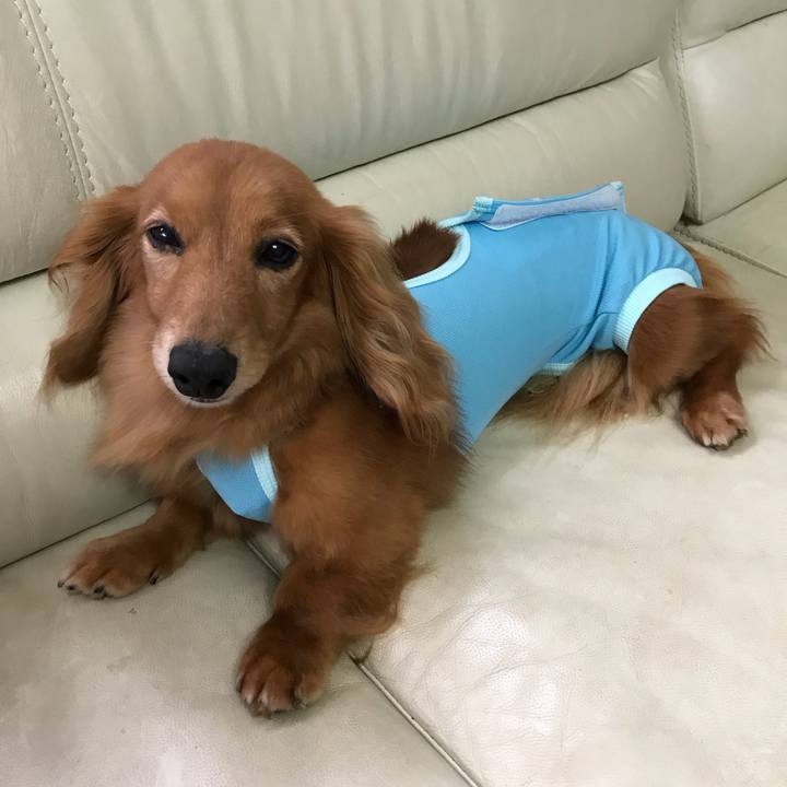 65883574 5c5a 487e a87a a7d05e1990e7 1507955223455