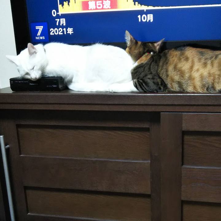 6588a08b 815b 47b0 b2bf 3eb7a34c5df3 1642328119496