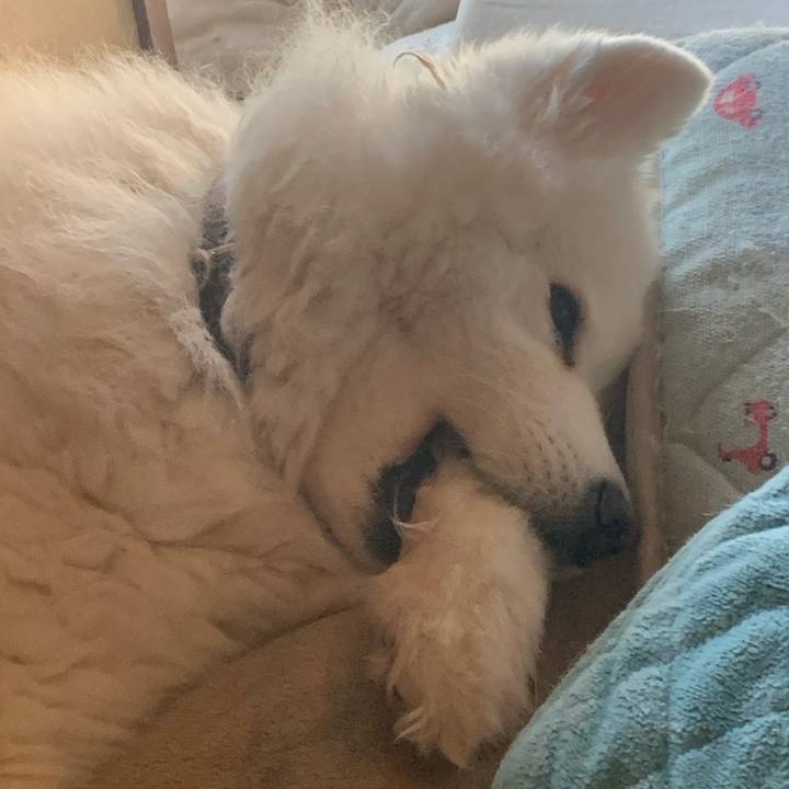 6588a200 9ca8 49ca b11e 5d45dafd6316 1641036001259