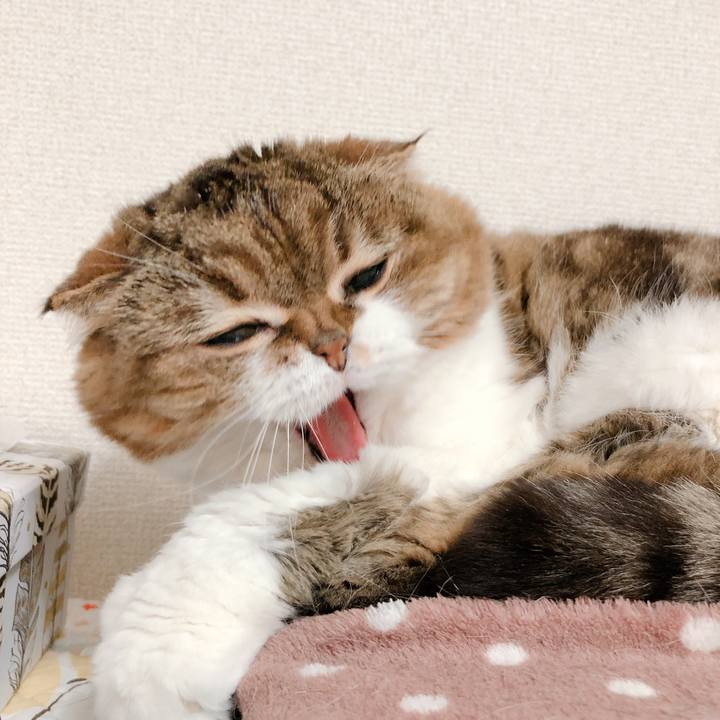 6588a44f 7113 42b5 83d1 e370cce8bd55 1556442760056