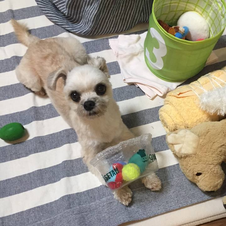 6588bb1f b5af 4669 ad1a fa722a18bed7 1565523716279