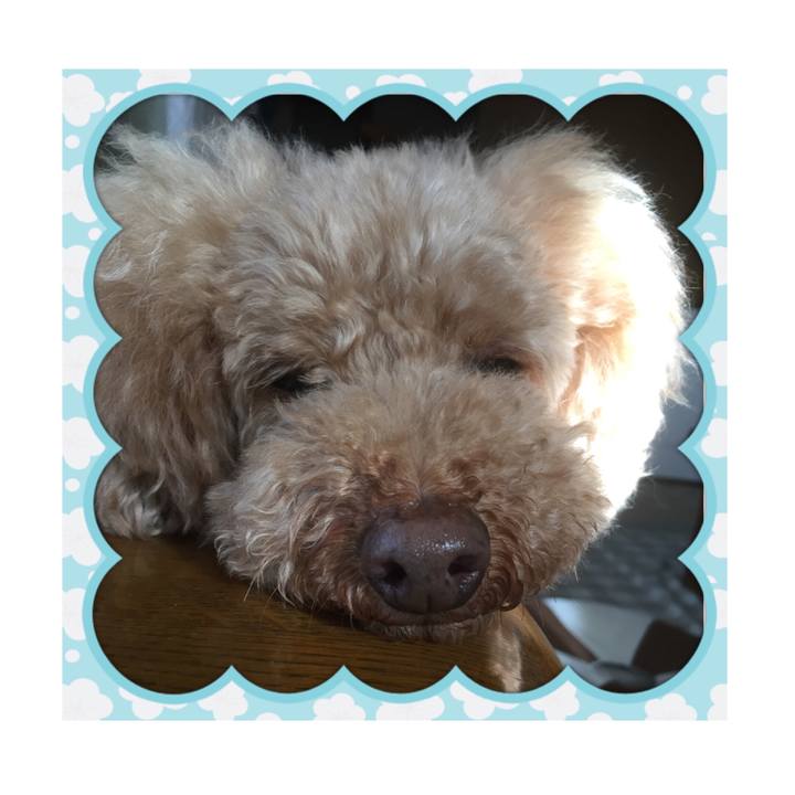 6588bd1c 818d 4719 9e67 0c93e27a609f 1527201448098