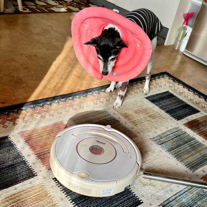 65892fbb 886f 49f5 aa0f fc987c41067e 1644107510949