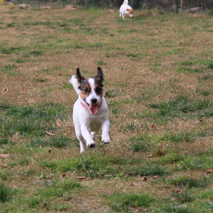 6589c8a8 f15c 4679 a11e 0ea632bbea60 1512216947543