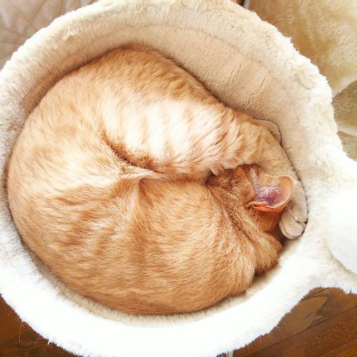 6589fec6 5fe8 44f9 bd96 367e5e0a58e8 1624079355878