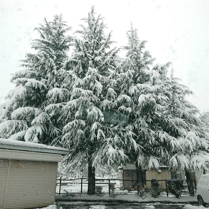 658a625f b9c7 43fc a5fa f2e9cec1e1ed 1608371348664