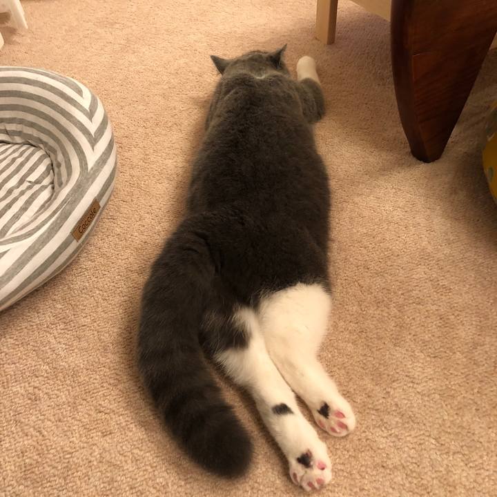 658a7161 1824 4868 adaa 0e32c6f8d365 1515289396383