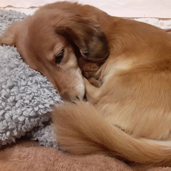 658add7a a4a9 4d22 a51e 16086a95824b 1609848853693