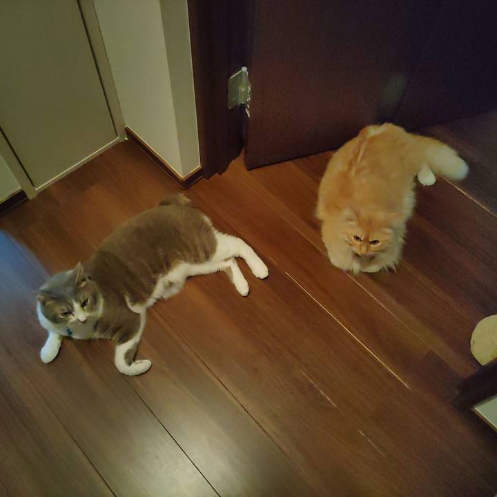 658af8e6 99d7 41f7 a00c 975fe7be1b06 1687697987699