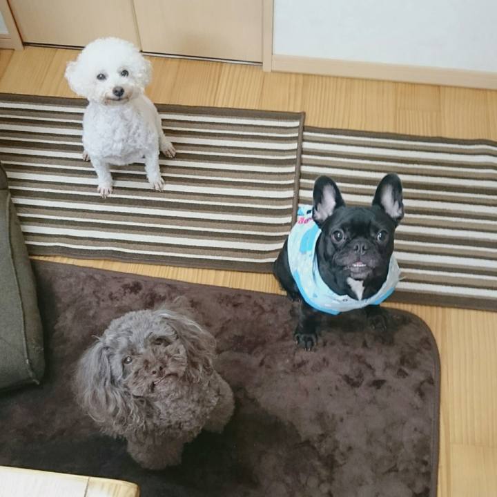 658b1a01 9720 4f05 b103 05cc5de3b725 1509534769690