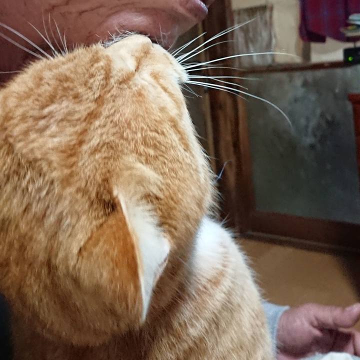 658b3d3f e8df 47d7 a61a b01350842a34 1606091079655