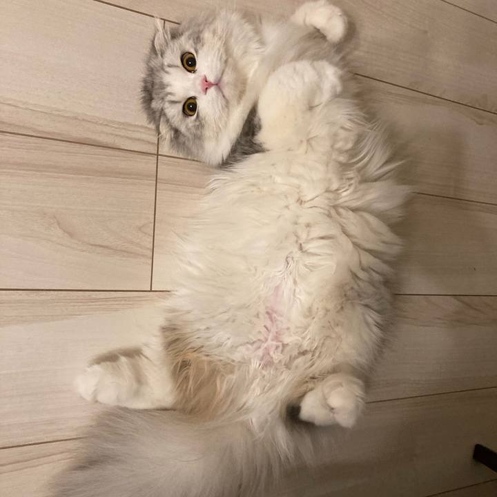 658b5611 30b8 41a6 a087 d05719aa0f31 1616628463967