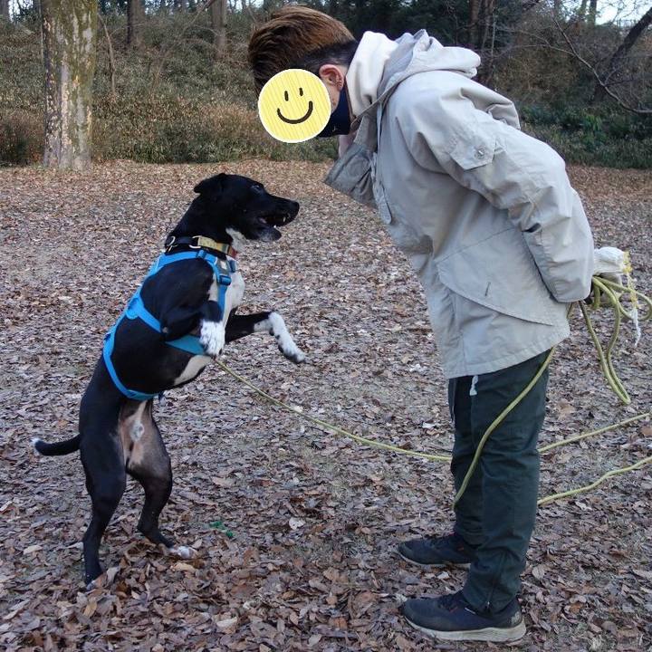 658b8cb5 9864 440b 92b0 f7e57eec4bcc 1609978374745